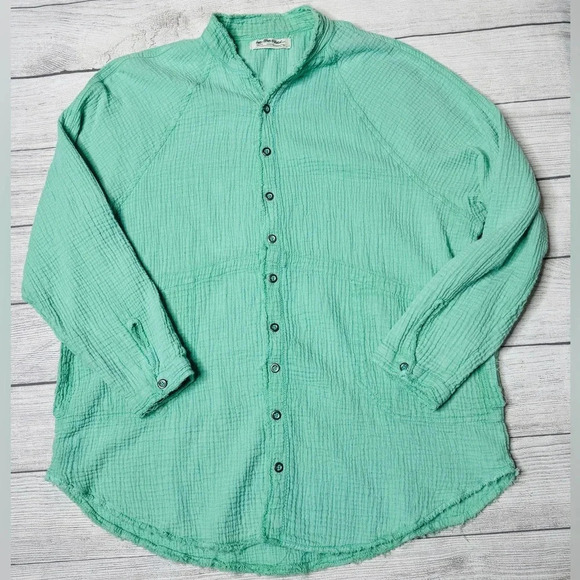 WE THE FREE People Daydream Raw Hem Brushed Cotton Button Down Blouse Clear Sky - Picture 1 of 6